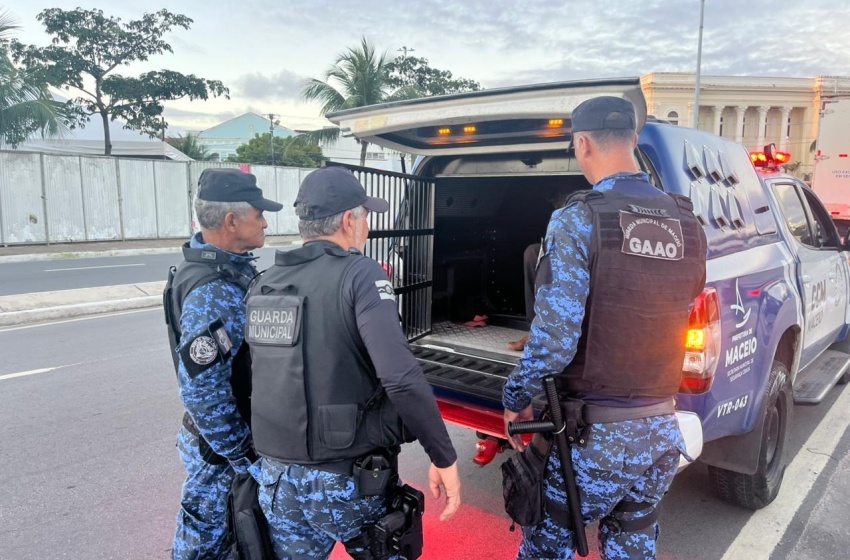 Guarda Municipal de Maceió registra oito prisões em uma semana